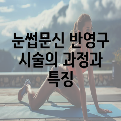 눈썹문신 반영구 시술의 과정과 특징