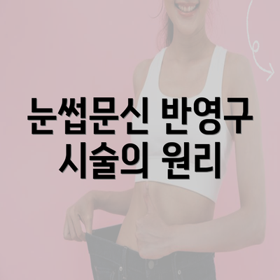 눈썹문신 반영구 시술의 원리