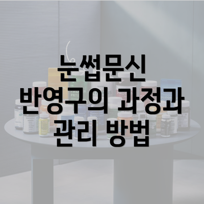 눈썹문신 반영구의 과정과 관리 방법
