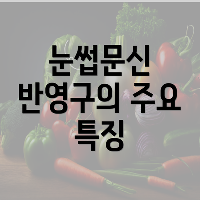 눈썹문신 반영구의 주요 특징