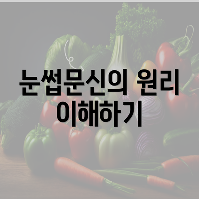 눈썹문신의 원리 이해하기