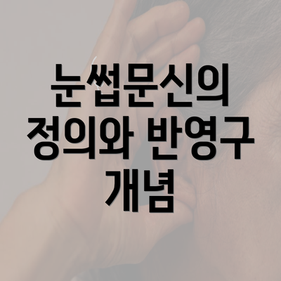 눈썹문신의 정의와 반영구 개념