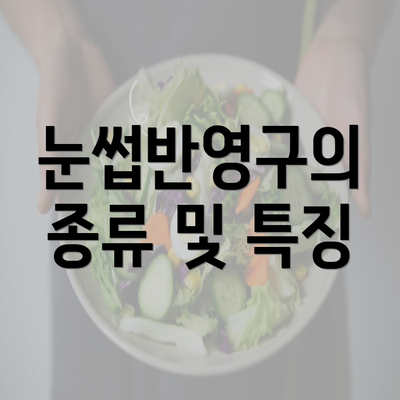 눈썹반영구의 종류 및 특징