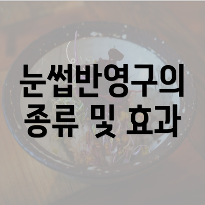 눈썹반영구의 종류 및 효과