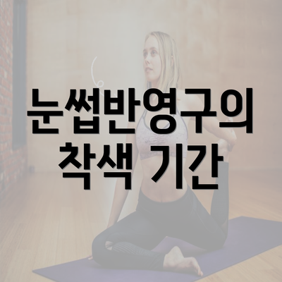 눈썹반영구의 착색 기간