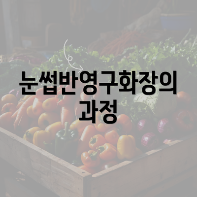 눈썹반영구화장의 과정