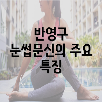 반영구 눈썹문신의 주요 특징