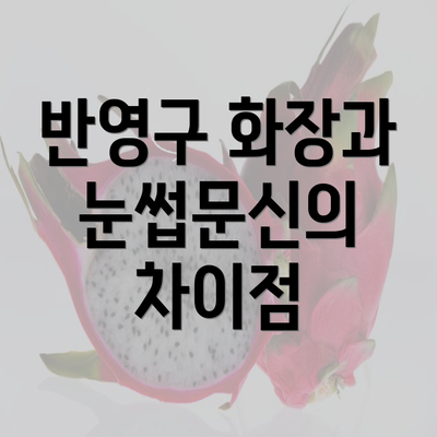 반영구 화장과 눈썹문신의 차이점