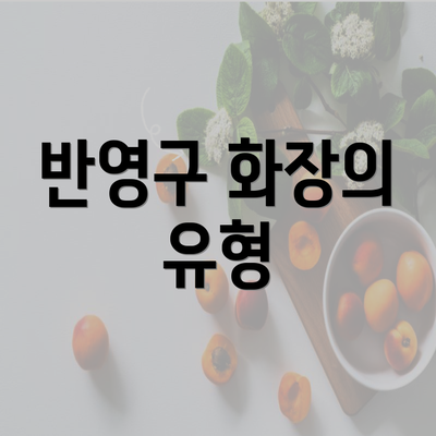 반영구 화장의 유형