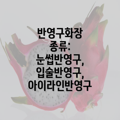 반영구화장 종류: 눈썹반영구, 입술반영구, 아이라인반영구