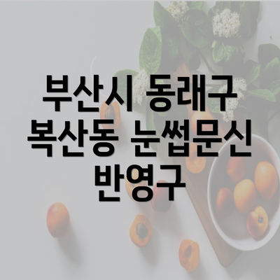부산시 동래구 복산동 눈썹문신 반영구
