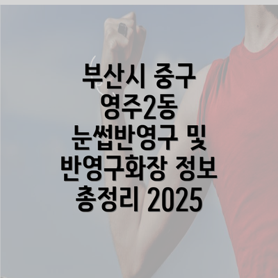부산시 중구 영주2동 눈썹반영구 및 반영구화장 정보 총정리 2025