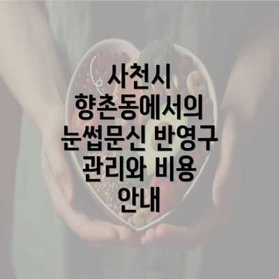 사천시 향촌동에서의 눈썹문신 반영구 관리와 비용 안내