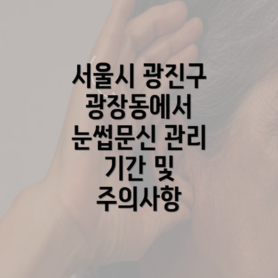서울시 광진구 광장동에서 눈썹문신의 기본 개념