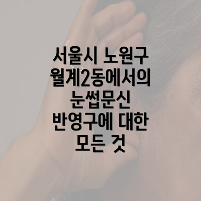 서울시 노원구 월계2동에서의 눈썹문신 반영구에 대한 모든 것