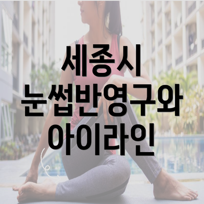세종시 눈썹반영구와 아이라인