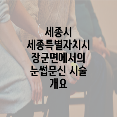 세종시 세종특별자치시 장군면에서의 눈썹문신 시술 개요