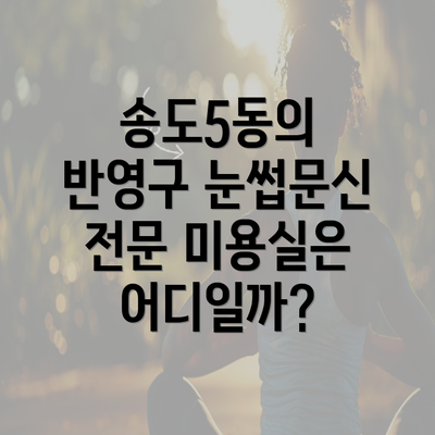 송도5동의 반영구 눈썹문신 전문 미용실은 어디일까?