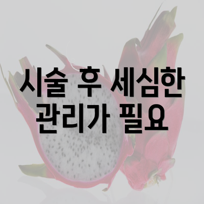 시술 후 세심한 관리가 필요