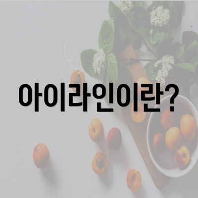 아이라인이란?