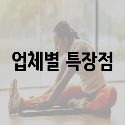 업체별 특장점