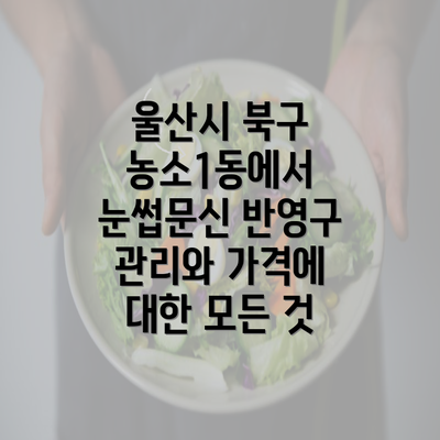 울산시 북구 농소1동에서 눈썹문신 반영구 관리와 가격에 대한 모든 것