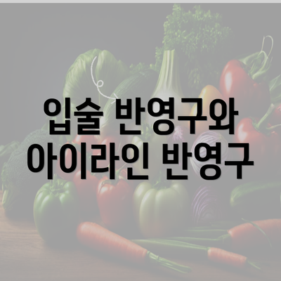 입술 반영구와 아이라인 반영구