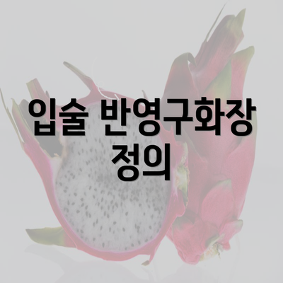 입술 반영구화장 정의
