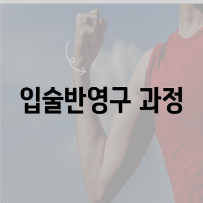 입술반영구 과정
