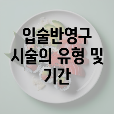 입술반영구 시술의 유형 및 기간