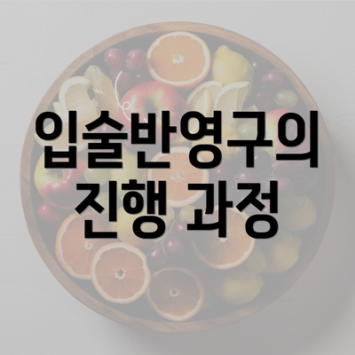 입술반영구의 진행 과정