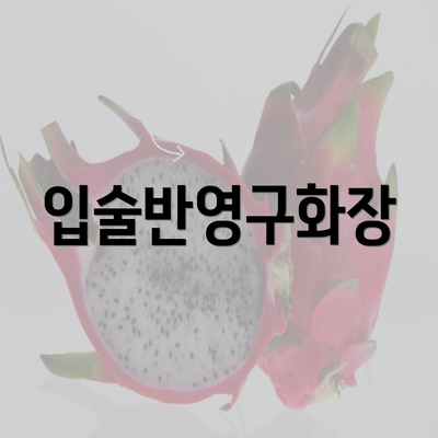 입술반영구화장