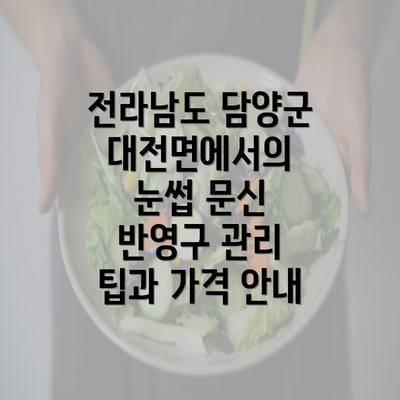 전라남도 담양군 대전면에서의 눈썹 문신 반영구 관리 팁과 가격 안내