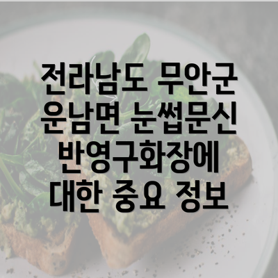 전라남도 무안군 운남면 눈썹문신 반영구화장에 대한 중요 정보
