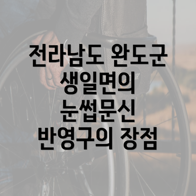 전라남도 완도군 생일면의 눈썹문신 반영구의 장점