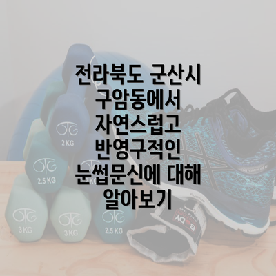 전라북도 군산시 구암동에서 자연스럽고 반영구적인 눈썹문신에 대해 알아보기