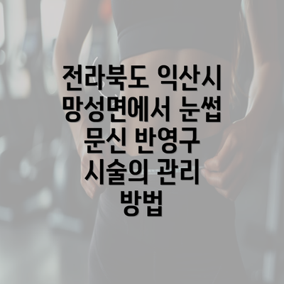 전라북도 익산시 망성면에서 눈썹 문신 반영구 시술의 관리 방법