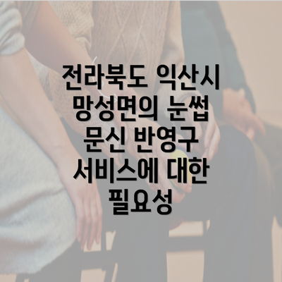 전라북도 익산시 망성면의 눈썹 문신 반영구 서비스에 대한 필요성