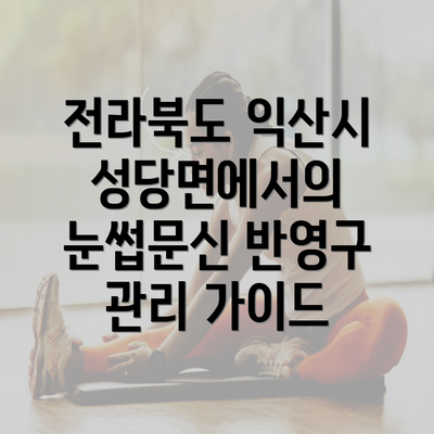 전라북도 익산시 성당면에서의 눈썹문신 반영구 관리 가이드