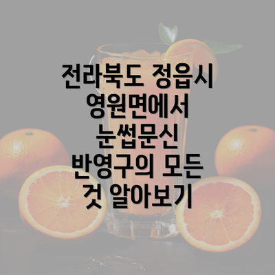 전라북도 정읍시 영원면에서 눈썹문신 반영구의 모든 것 알아보기