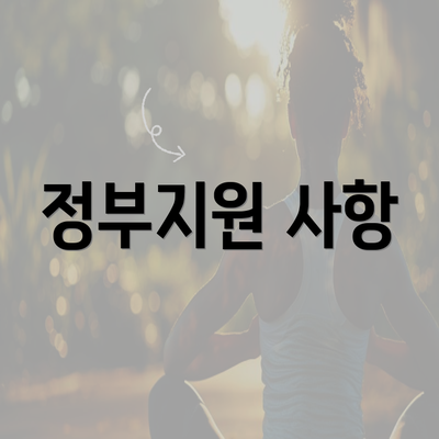 정부지원 사항