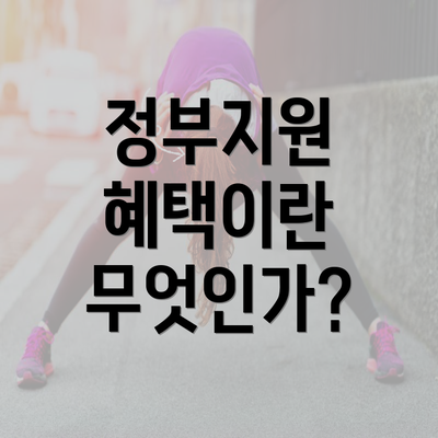 정부지원 혜택이란 무엇인가?