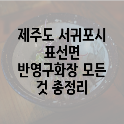 제주도 서귀포시 표선면 반영구화장 모든 것 총정리