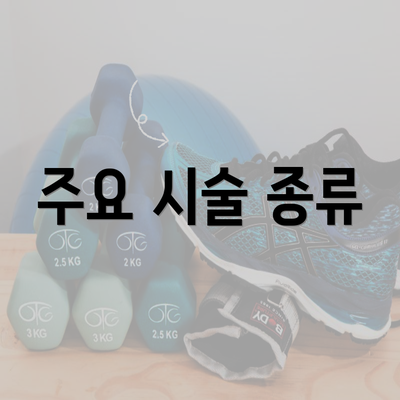 주요 시술 종류