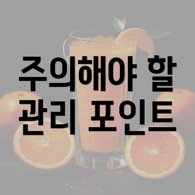 주의해야 할 관리 포인트