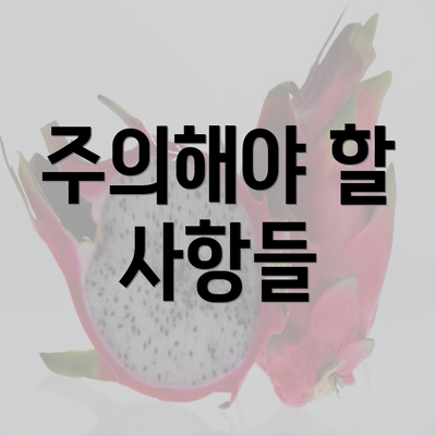 주의해야 할 사항들