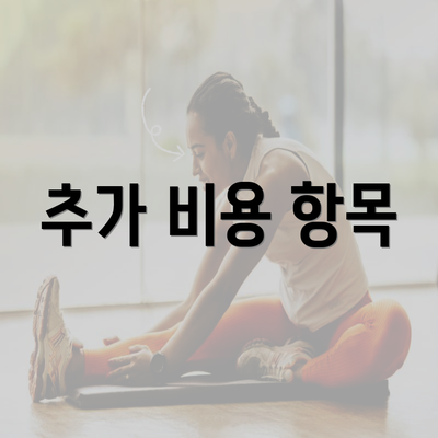 추가 비용 항목