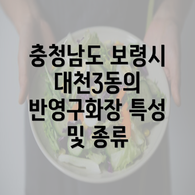 충청남도 보령시 대천3동의 반영구화장 특성 및 종류