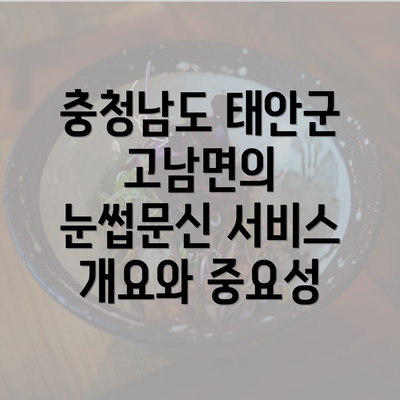 충청남도 태안군 고남면의 눈썹문신 서비스 개요와 중요성