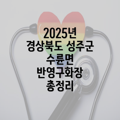 2025년 경상북도 성주군 수륜면 반영구화장 총정리